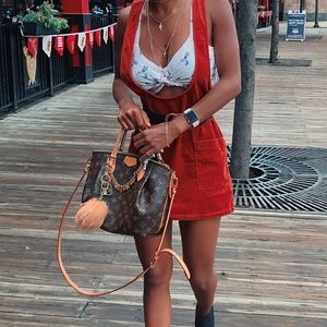 authentic louis vuitton purse